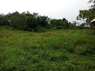 Commercial/farm land For Sale in Bonnie Gate, St. Mary Jamaica | [5]