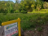 Commercial/farm land For Sale in Toms Hope, Portland Jamaica | [3]