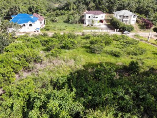 Residential lot For Sale in Mandeville, Manchester Jamaica | [11]