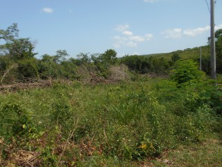 Land For Sale in Rosewell, Clarendon, Jamaica