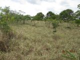 Residential lot For Sale in Junction, St. Elizabeth Jamaica | [2]