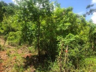 Commercial/farm land For Sale in Bannister Old Harbour, St. Catherine, Jamaica