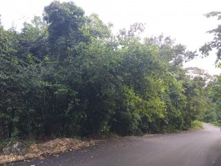 Residential lot For Sale in Sherbourne Heights, Kingston / St. Andrew Jamaica | [4]