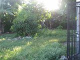 House For Sale in Buff Bay, Portland Jamaica | [10]