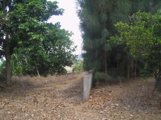 Residential lot For Sale in MANDEVILLE, Manchester Jamaica | [4]