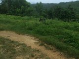 Residential lot For Sale in Balaclava, St. Elizabeth Jamaica | [6]