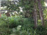 House For Sale in HATFIELD, Manchester Jamaica | [3]