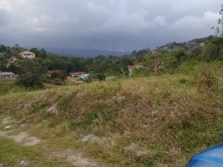 Residential lot For Sale in Brumalia, Manchester Jamaica | [5]