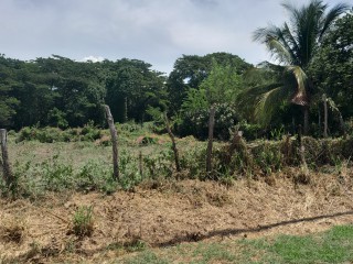 Residential lot For Sale in The Vineyards, St. Catherine Jamaica | [8]