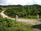 Commercial/farm land For Sale in Claremont near Moneague, St. Ann Jamaica | [11]