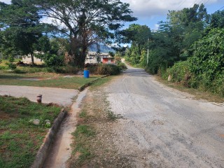 Commercial/farm land For Sale in Orangefield Ewarton, St. Catherine Jamaica | [4]