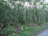 Residential lot For Sale in copse, Hanover Jamaica | [2]