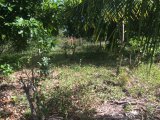 Residential lot For Sale in Danvers Pen, St. Thomas Jamaica | [8]