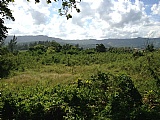 Resort/vacation property For Sale in Llandovery, St. Ann Jamaica | [2]