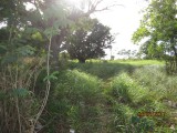 Residential lot For Sale in Junction, St. Elizabeth Jamaica | [4]