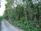 Residential lot For Sale in copse, Hanover Jamaica | [4]