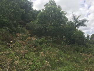 Residential lot For Sale in Albion Estates, Manchester Jamaica | [4]