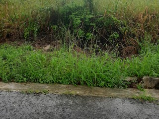 Residential lot For Sale in Ocean Ridge, St. Mary Jamaica | [3]