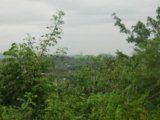 Residential lot For Sale in Clarendon, Clarendon Jamaica | [3]