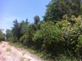 Residential lot For Sale in BAMBOO, St. Ann Jamaica | [3]