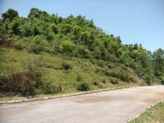 Residential lot For Sale in Albion Estates, Manchester Jamaica | [1]