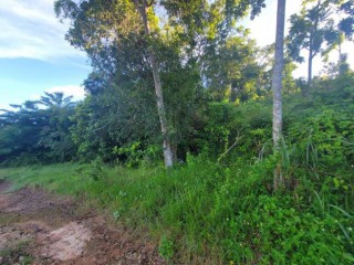 Residential lot For Sale in Mandeville, Manchester Jamaica | [2]