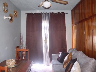 Apartment For Rent in New Kingston, Kingston / St. Andrew Jamaica | [6]