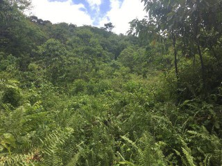 Residential lot For Sale in Port Antonio, Portland Jamaica | [4]