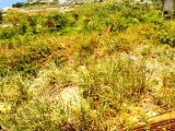 Residential lot For Sale in Ocean Ridge, St. Mary Jamaica | [5]