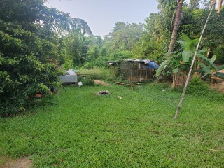 House For Sale in Linstead, St. Catherine Jamaica | [4]