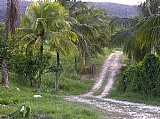 Commercial/farm land For Sale in Bog Walk, St. Catherine Jamaica | [3]