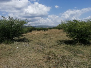 Commercial/farm land For Sale in Four Paths, Clarendon Jamaica | [1]