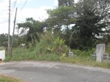 Residential lot For Sale in NEW GREEN, Manchester Jamaica | [12]