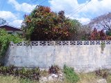 Residential lot For Sale in NEW GREEN, Manchester Jamaica | [9]