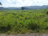 Residential lot For Sale in Petersfield, Westmoreland Jamaica | [4]