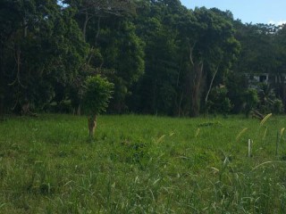 Residential lot For Sale in Anchovy, St. James Jamaica | [2]