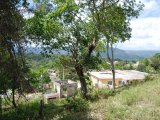 Residential lot For Sale in New Green, Manchester Jamaica | [2]