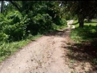 Land For Sale in Unity Wakefield, Trelawny Jamaica | [4]