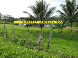 Commercial/farm land For Sale in BURNT GROUND, Hanover Jamaica | [4]