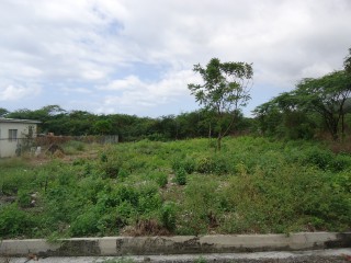 Residential lot For Sale in Pomfret, St. Thomas Jamaica | [2]