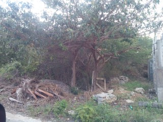 Residential lot For Sale in LONGVILLE PARK, Clarendon Jamaica | [1]