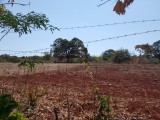 Commercial/farm land For Sale in Pedro Plains, St. Elizabeth Jamaica | [2]