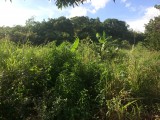 Residential lot For Sale in Alligator Pond Manchester, Manchester Jamaica | [3]