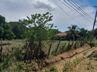 Residential lot For Sale in The Vineyards, St. Catherine Jamaica | [3]