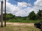 Residential lot For Sale in Mandeville, Manchester Jamaica | [3]