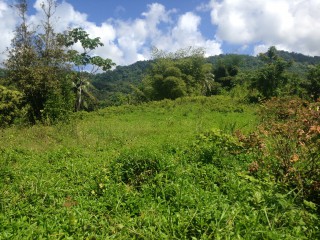 Commercial/farm land For Sale in Port Antonio, Portland Jamaica | [3]