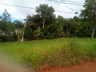 Residential lot For Sale in New Green, Manchester Jamaica | [1]