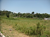 Residential lot For Sale in Mandeville, Manchester Jamaica | [7]