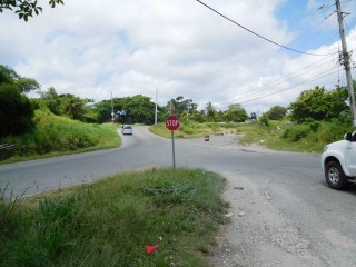  For Sale in Whitehall, St. Mary Jamaica | [3]