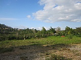 Commercial/farm land For Sale in Mandeville, Manchester Jamaica | [1]